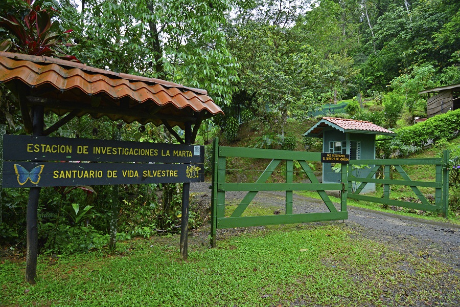  Apoye el turismo nacional y visite el Refugio de Vida Silvestre La Marta en Semana Santa