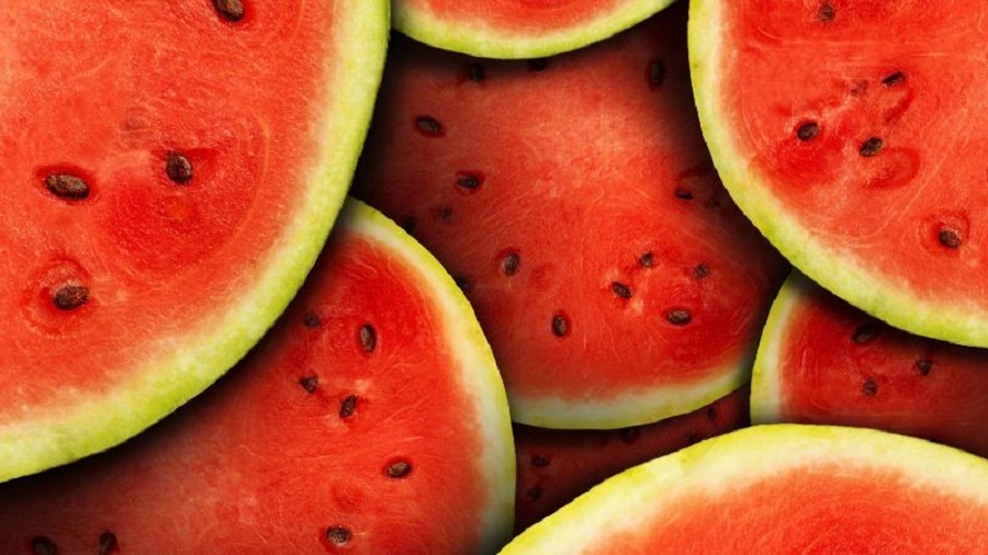  Costa Rica exporta melón y sandía orgánicos a Europa