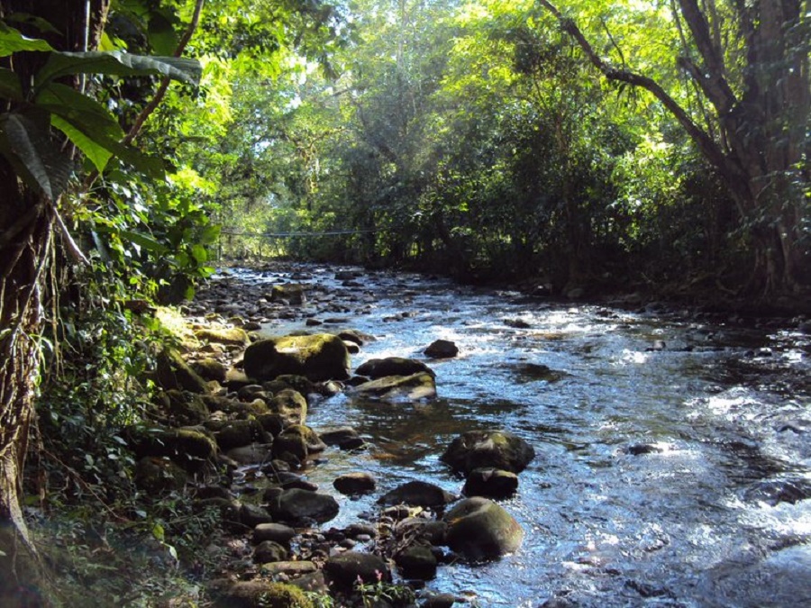  Iniciativa costarricense seleccionada entre las cinco mejores del mundo en protección del agua