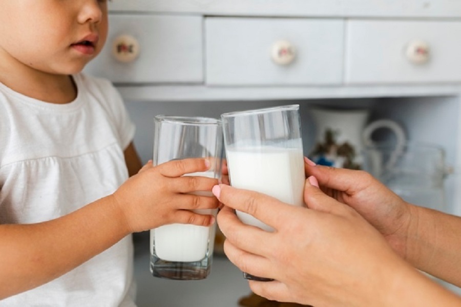 Cámara Nacional de Productores de Leche (CNPL)