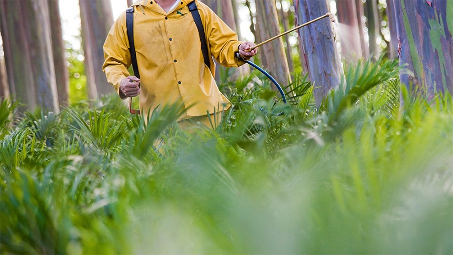 Fertilizantes y plaguicidas de Costa Rica tienen oportunidad para exportarse a Ecuador