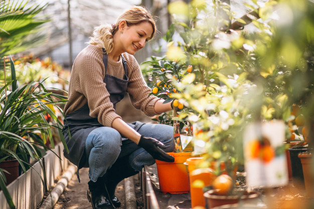  Pasión, planificación y formación: las claves para mantener la ilusión cuando se emprende