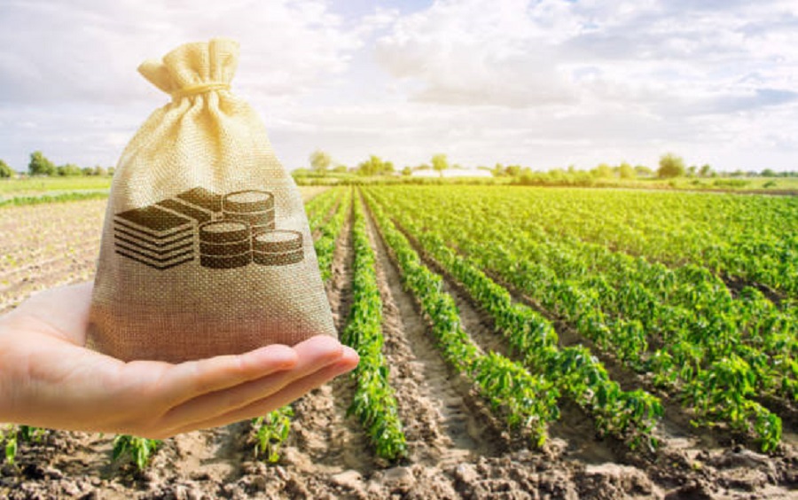  Lanzan programa de crédito para mujeres que trabajan por la biodiversidad del país