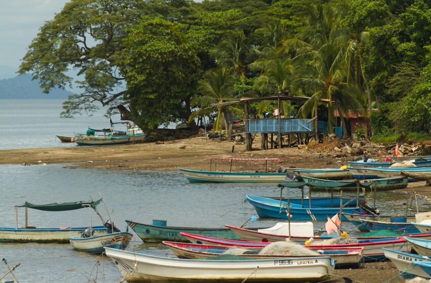  Pescadores costarricenses lanzan plataforma para venta de mariscos en línea