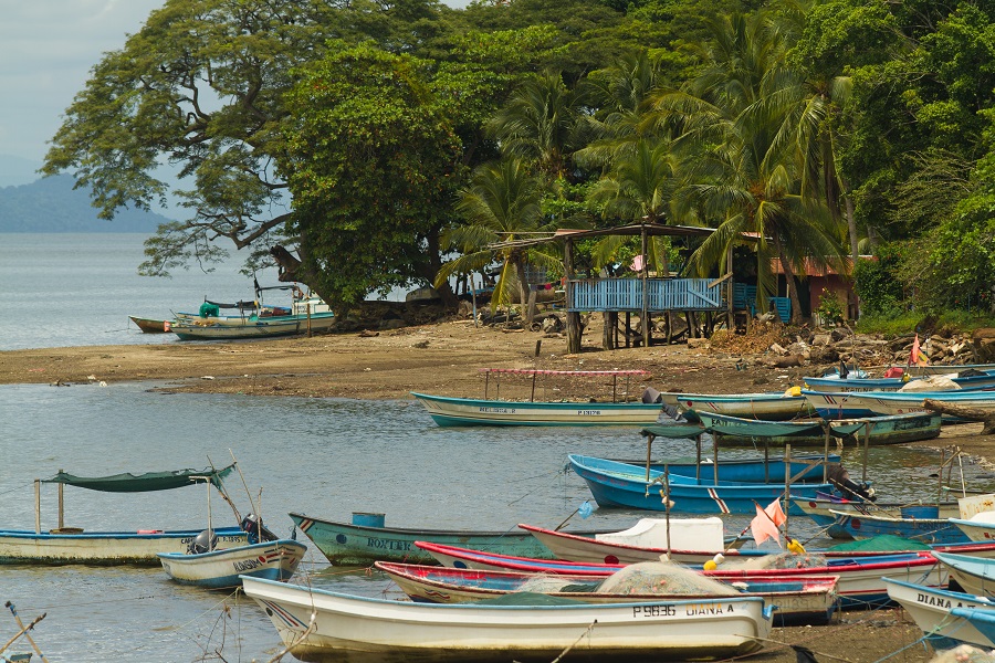 Pescadores costarricenses lanzan plataforma para venta de mariscos en línea