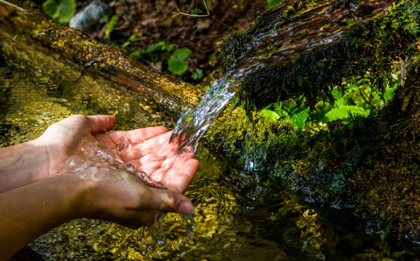 De esta forma puede realizar una gestión sostenible del agua