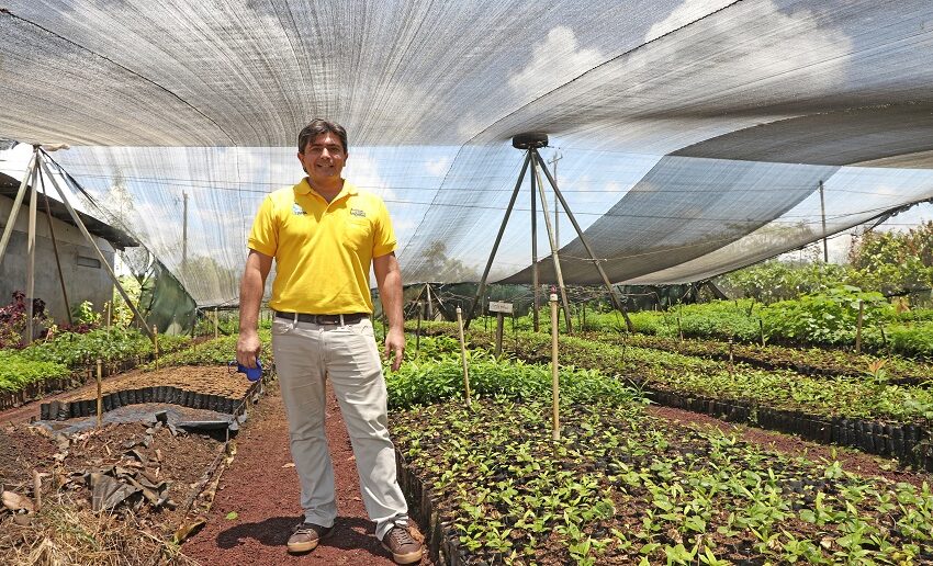  Programa Huella del Futuro inaugura bosque “Huella Amarilla”