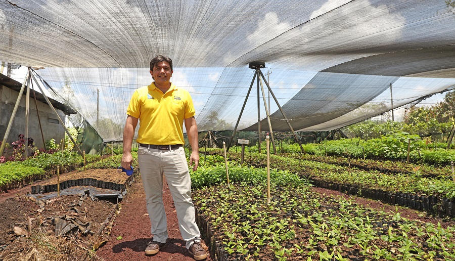 Programa Huella del Futuro inaugura bosque “Huella Amarilla”