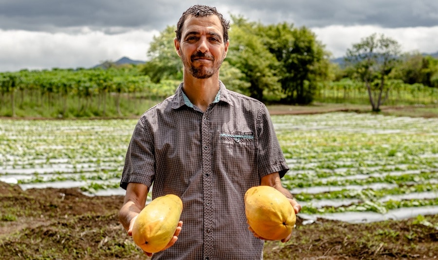 Programa Tierra Fértil ha apoyado 259 productores agrícolas en el país