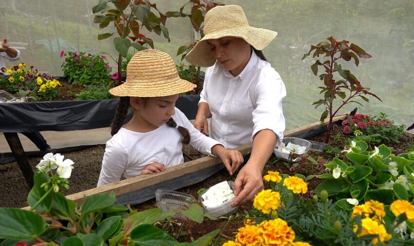  Mujeres de Pérez Zeledón incursionan en el cultivo de flores comestibles