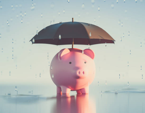  ¿Cómo evitar mayores gastos en época lluviosa?