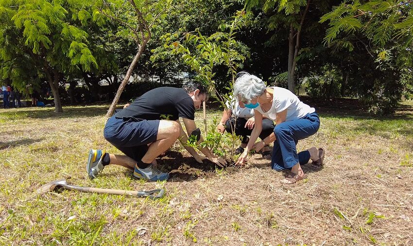  Grupo Montecristo realizó siembra de 800 árboles de distintas especies