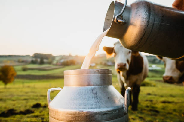 Así ha sido la evolución del mercado de leche en el país y la región