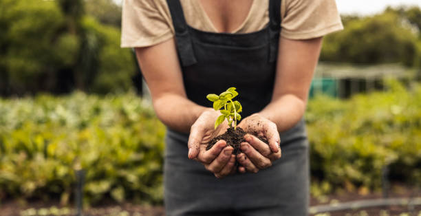 BID aboga por transformación de agroindustria de América Latina y Caribe