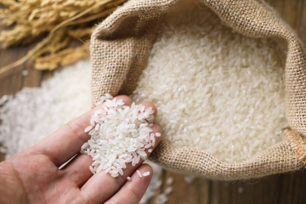 “Modelo de fijación del precio de arroz perjudicó a los consumidores y estancó productividad”