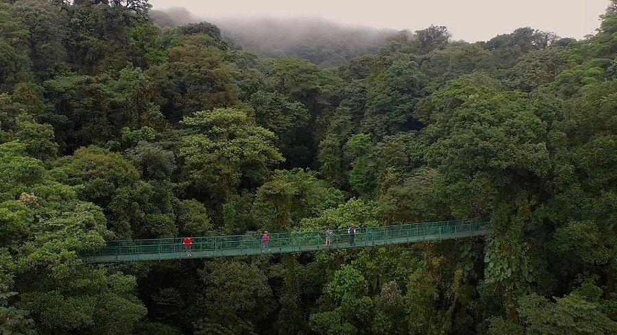 Guanacaste posee el 38% de las empresas que están fuera de la GAM