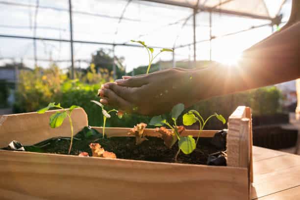 ¿Cómo apoyan las normas técnicas la agricultura del país?