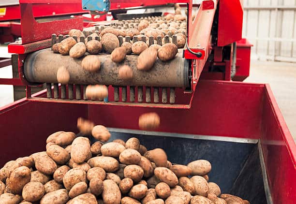  Maquinaria agroalimentaria tiene oportunidades de exportación a Honduras