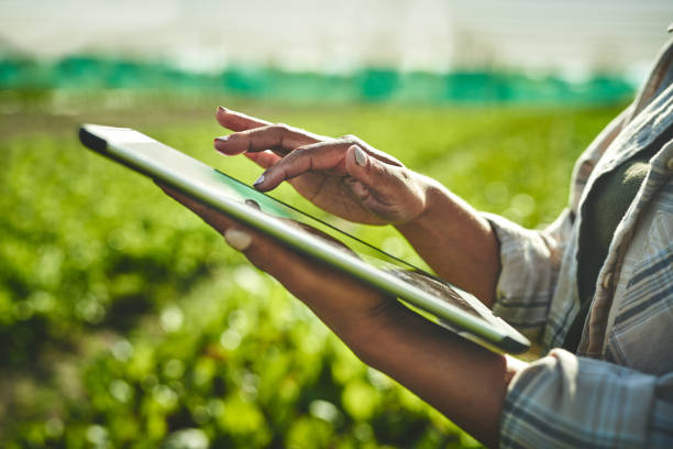 Lanzan plataforma de capacitación para el sector agrícola del país