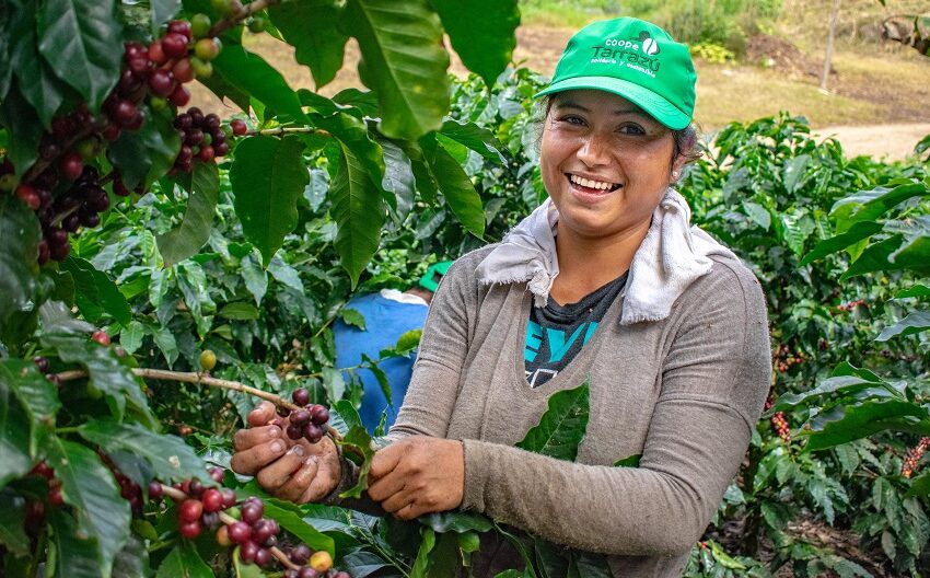  Sector cooperativo realizará seminario para alinear sector a ODS