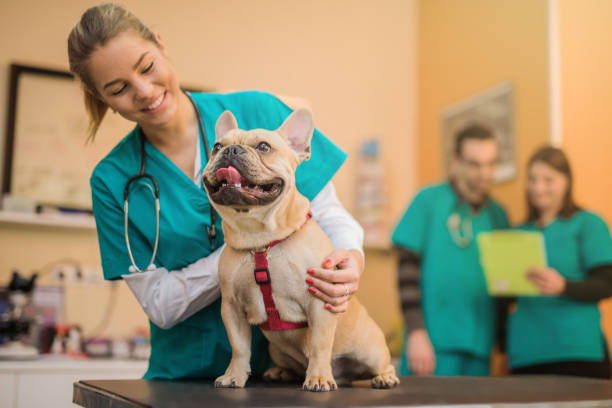 Costa Rica será sede de congreso internacional del sector veterinario