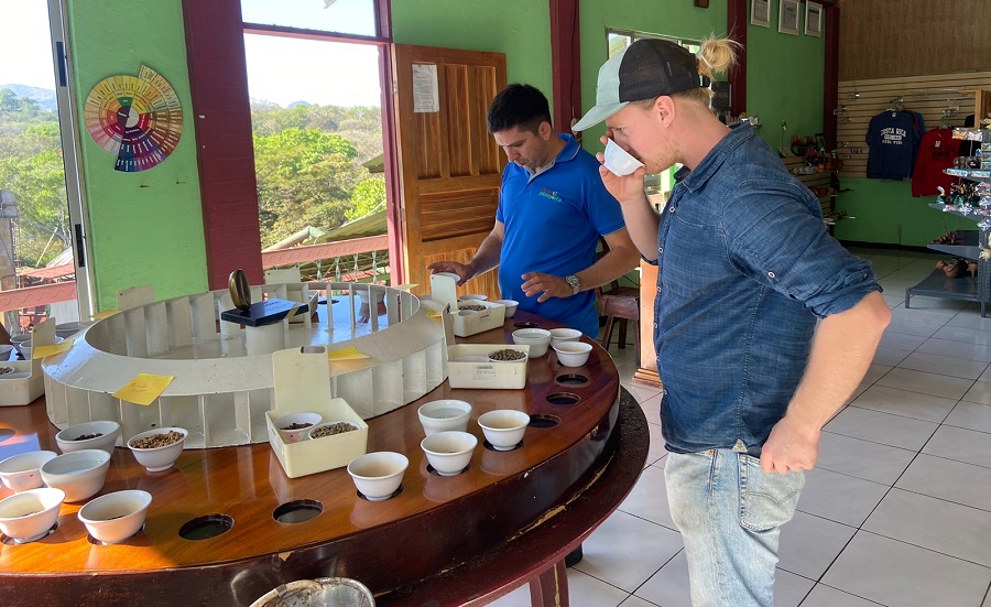 Guanacaste exportará café de especialidad a Holanda y Corea del Sur