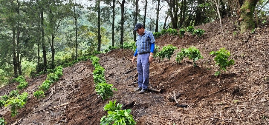 Así Luisa Norte pasó de ser hacienda cafetalera a modelo de desarrollo