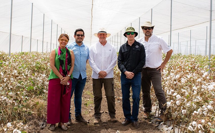  Costa Rica: Centro de innovación agrícola en algodón