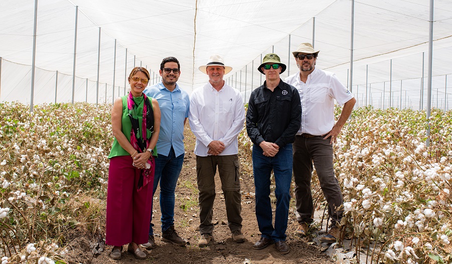 Costa Rica: Centro de innovación agrícola en algodón