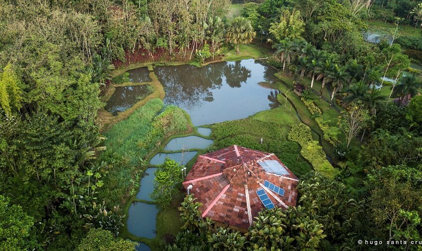  Macaw Lodge el ecolodge apuesta por lo local y orgánico