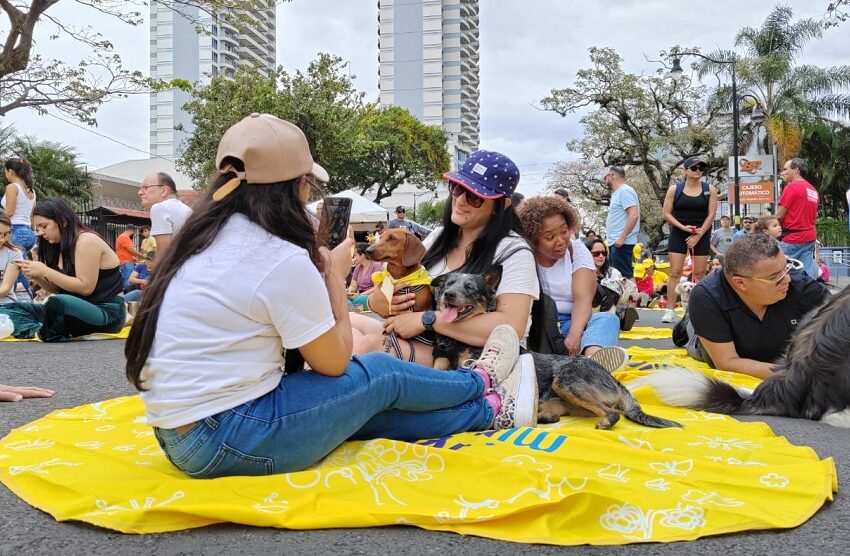  Organizaciones anuncian diversas actividades este fin de semana