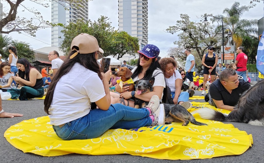 Organizaciones anuncian diversas actividades este fin de semana