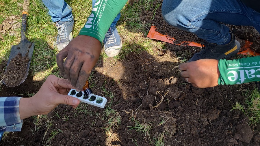 Lanzan iniciativa para salud del suelo y combate al cambio climático