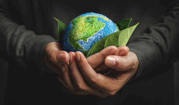 Empresas realizan diversas iniciativas a favor de medio ambiente