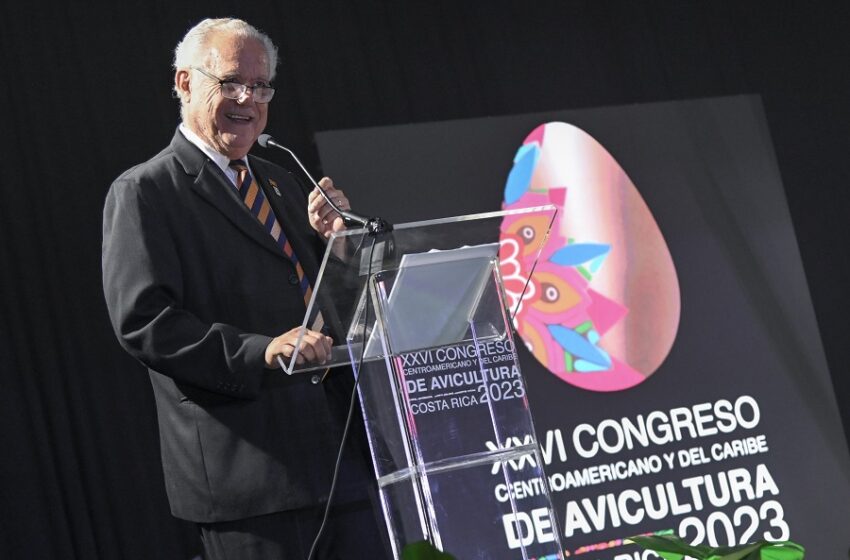  ¿Qué tanto se consume pollo y huevos en Costa Rica?