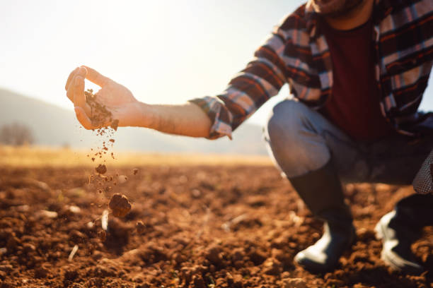 Brindan herramientas para que productores enfrenten fenómeno ENOS