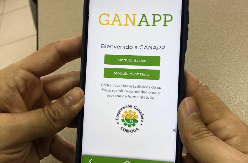  Lanzan app gratuita para desarrollo empresarial de productores ganaderos