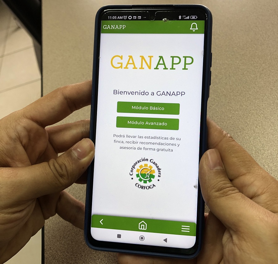 Lanza app gratuita para desarrollo empresarial de productores ganaderos