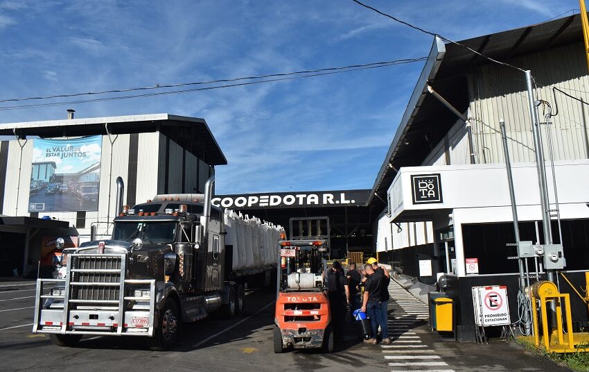  Coopedota realizará evento por inicio a temporada de recolección de café