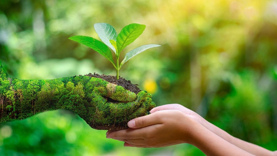 Evento buscará que las personas reconecten con la pertenencia ecológica