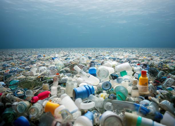 Presentarán en Costa Rica documental para concientizar sobre uso de plásticos y microplásticos