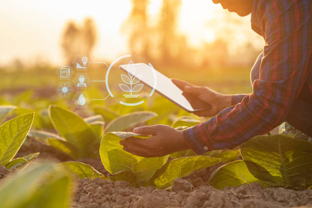 Premiarán con hasta US$17 mil a proyectos innovadores de empresas del sector agro