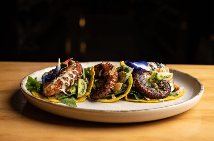  Realizan nueva edición de evento gastronómico en el país