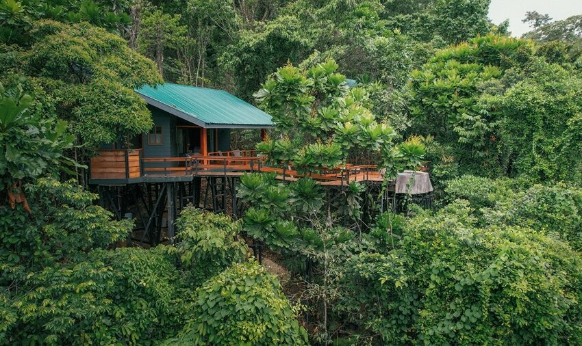  Estas son algunas tendencias del turismo en el país