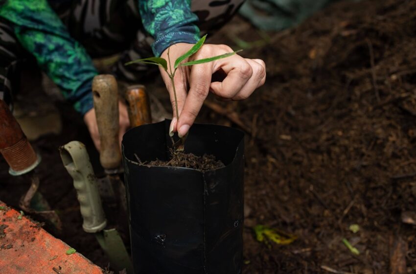  Otorgarán US$85 mil a proyectos comunitarios enfocados en el medioambiente
