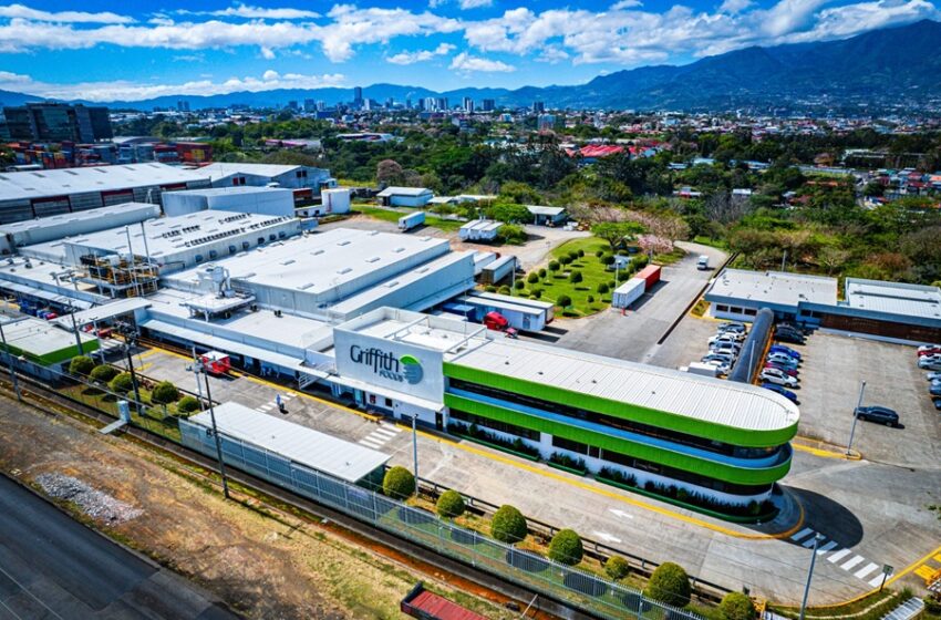  Comer en familia: un acto cotidiano con poder transformador