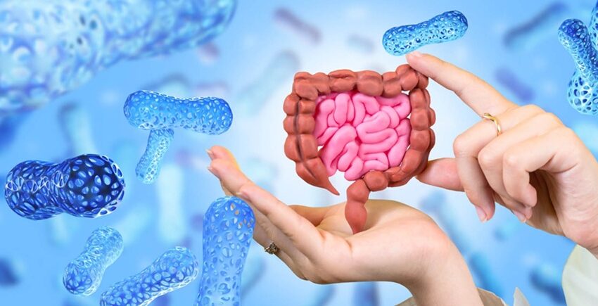  Esta es la importancia del intestino para el bienestar integral