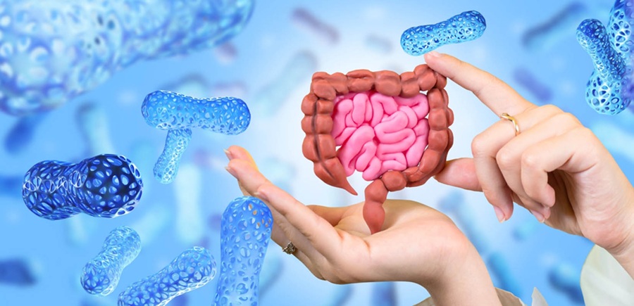 Esta es la importancia del intestino para el bienestar integral
