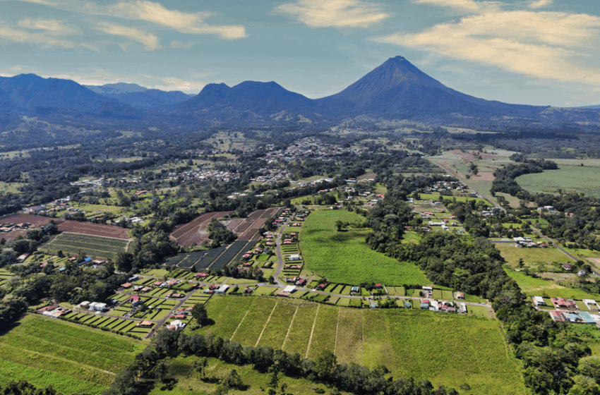  El mercado inmobiliario echa raíces verdes