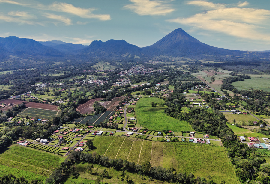 El mercado inmobiliario echa raíces verdes